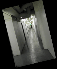 Hallway.gif