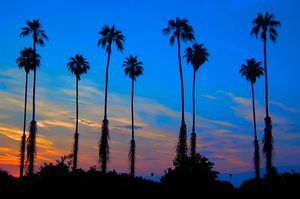 california_sunset.jpg
